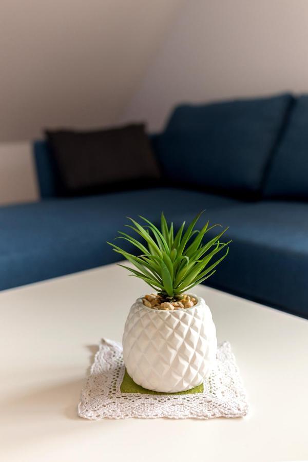 Apartmaji Rupnik Bohinjska Bistrica Bagian luar foto